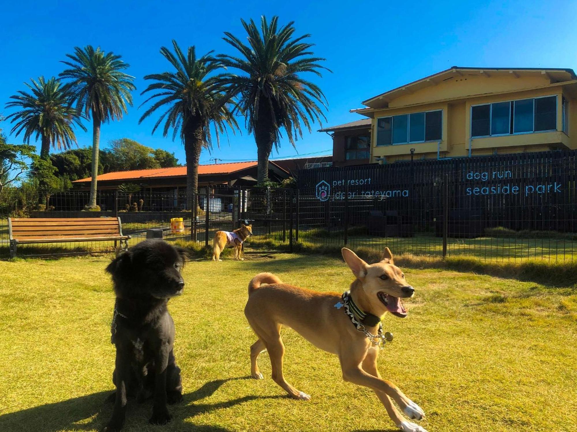 Japari Tateyama - Vacation Stay 84018V Ngoại thất bức ảnh